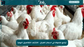 تراجع ملحوظ في أسعار الفراخ.. اكتشف التفاصيل اليوم!